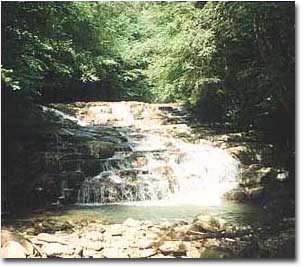 Photo of Potomac State Forest
