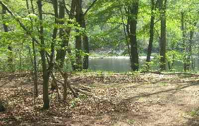 Photo of Alosa River Campsites