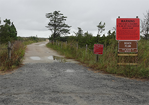 Photo of Beach Plum Island