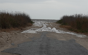 Photo of Bennets Pier beach
