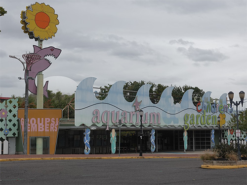 Photo of Camden Childrens Garden