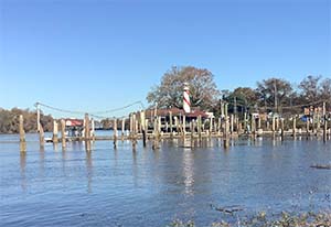 Photo of Curtin Marina