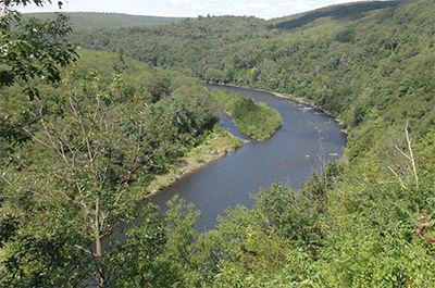 Photo of Hawk’s Nest