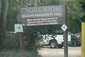Photo of Higbee Beach