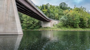 Photo of Equinunk Bridge