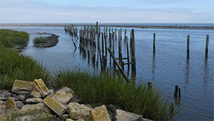 Photo of Mispillion River