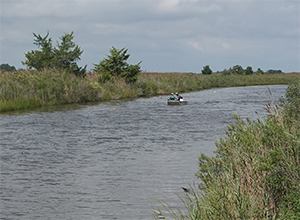 Photo of Prime Hook Creek
