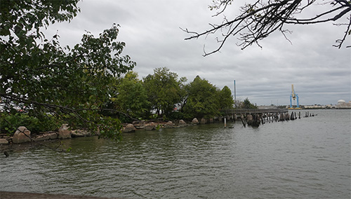 Photo of Washington Green