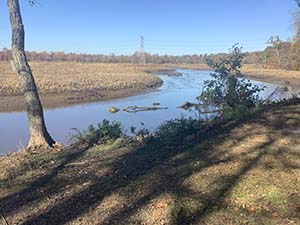 Photo of Abbott Marshes