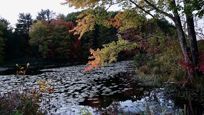Photo of Catskill Creek