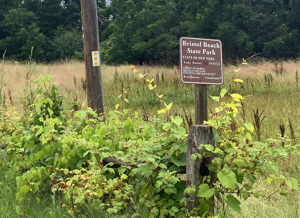 Photo of Bristol Beach State Park