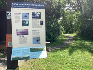 Photo or Ramshorn-Livingston Sanctuary