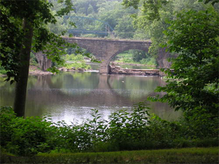 Photo of Cacapon Junction campsite