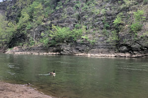 Photo of Gene Mason boat ramp