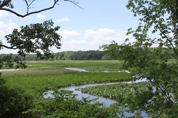 Photo of Elizabeth Hartwell Refuge