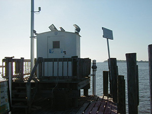 Photo of Lewisetta buoy
