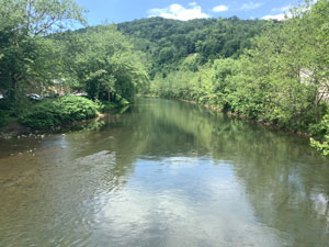 Photo of Savage River Reservoir